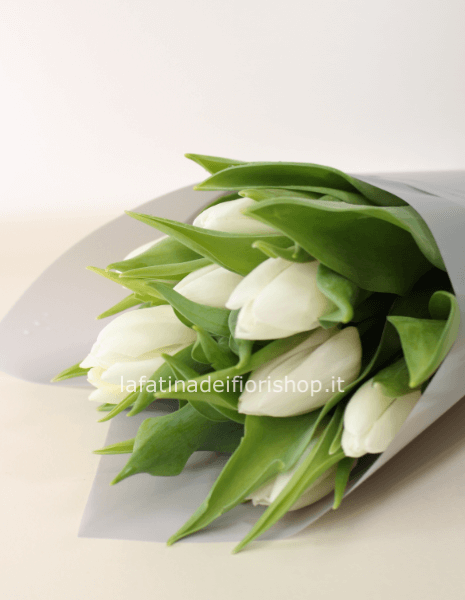 Tulipani  bianchi in cartoccio 