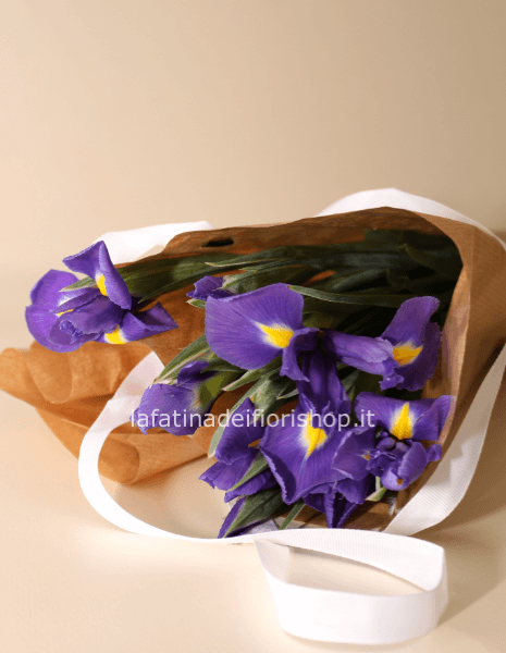 Iris blu in cartoccio