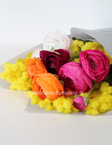 Cartoccio di 6 ranuncoli misti con mimosa