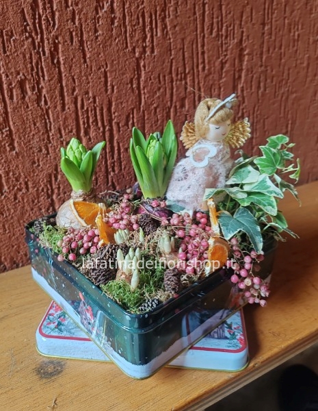 Scatola di latta di bulbi