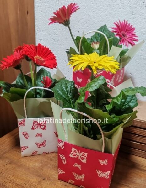 Gerbera in Bag