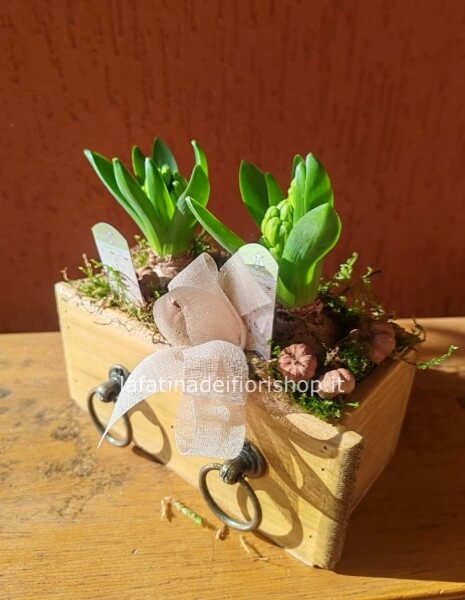 Cassetto doppio con giacinti