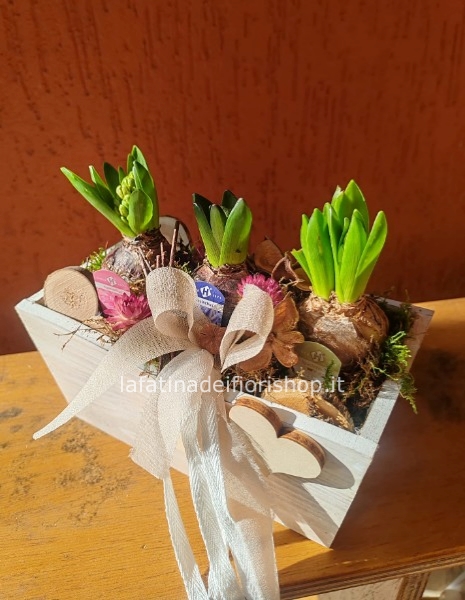 Cassettina di giacinti