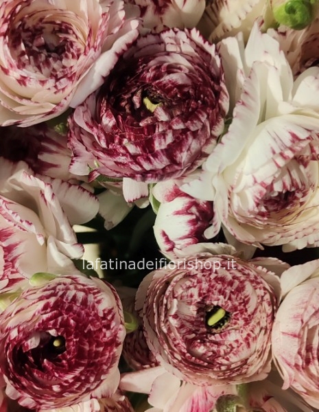Bouquet di RANUNCOLI