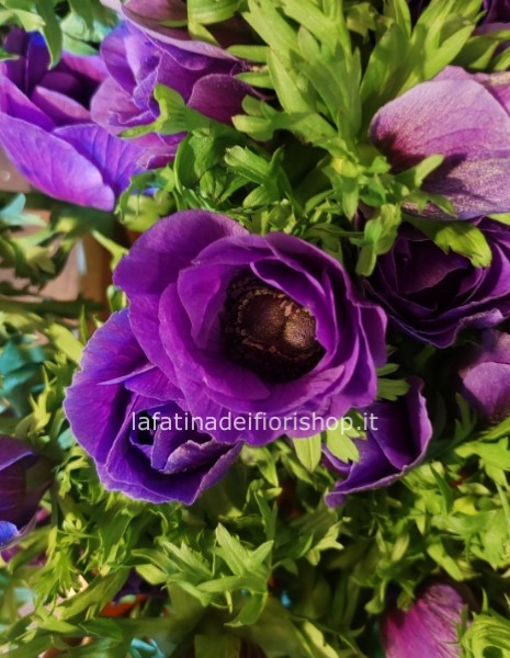 BOUQUET DI ANEMONI VIOLA