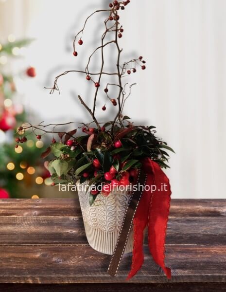 	 Gaultheria in ceramica