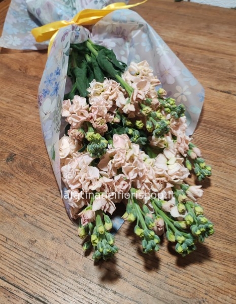 Violaciocca in cartoccio PROFUMATA