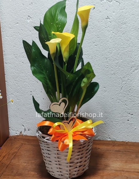 Calla in borsetta cuoricini